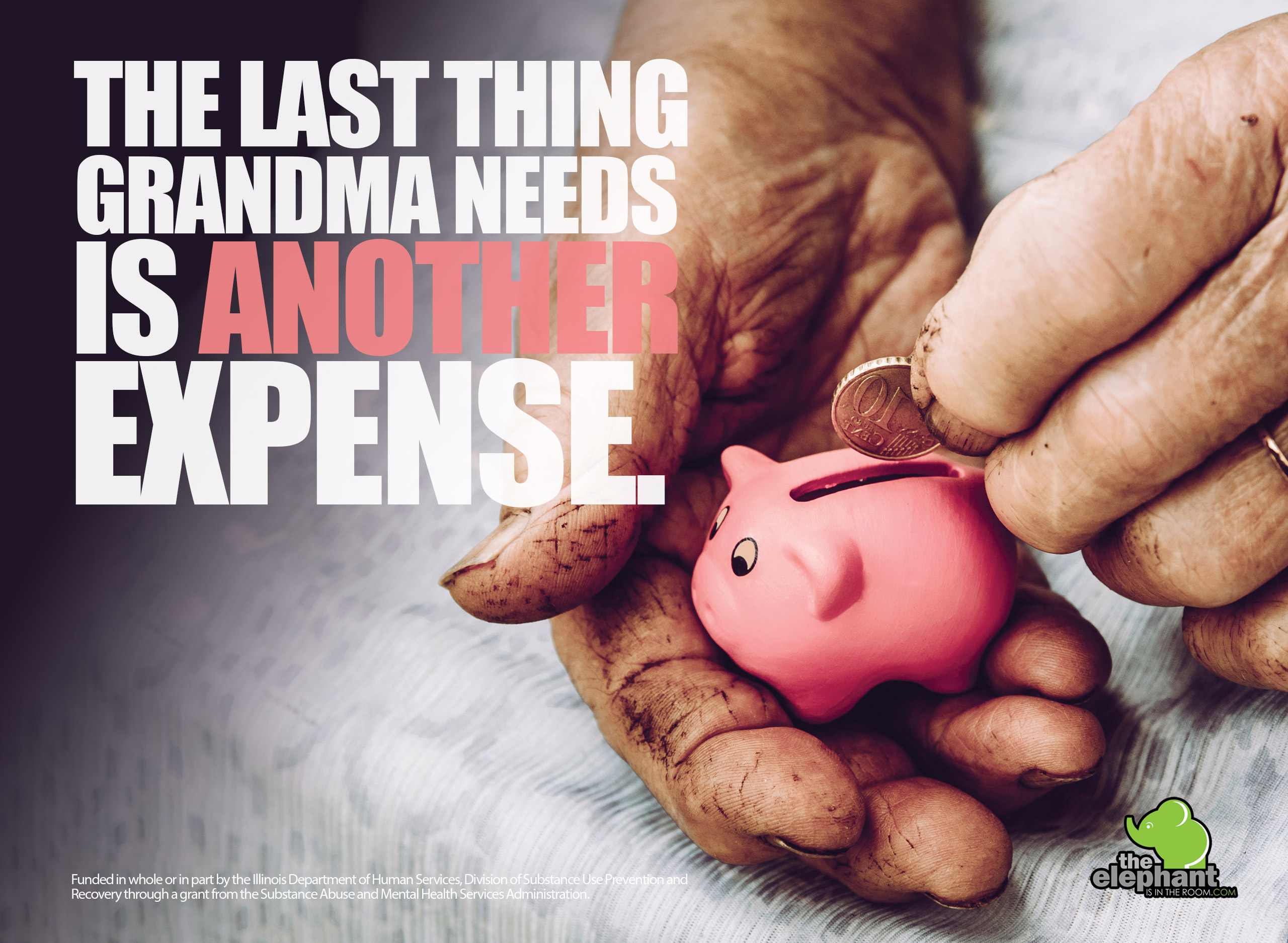 Elephant-Web-Grandma-Expense