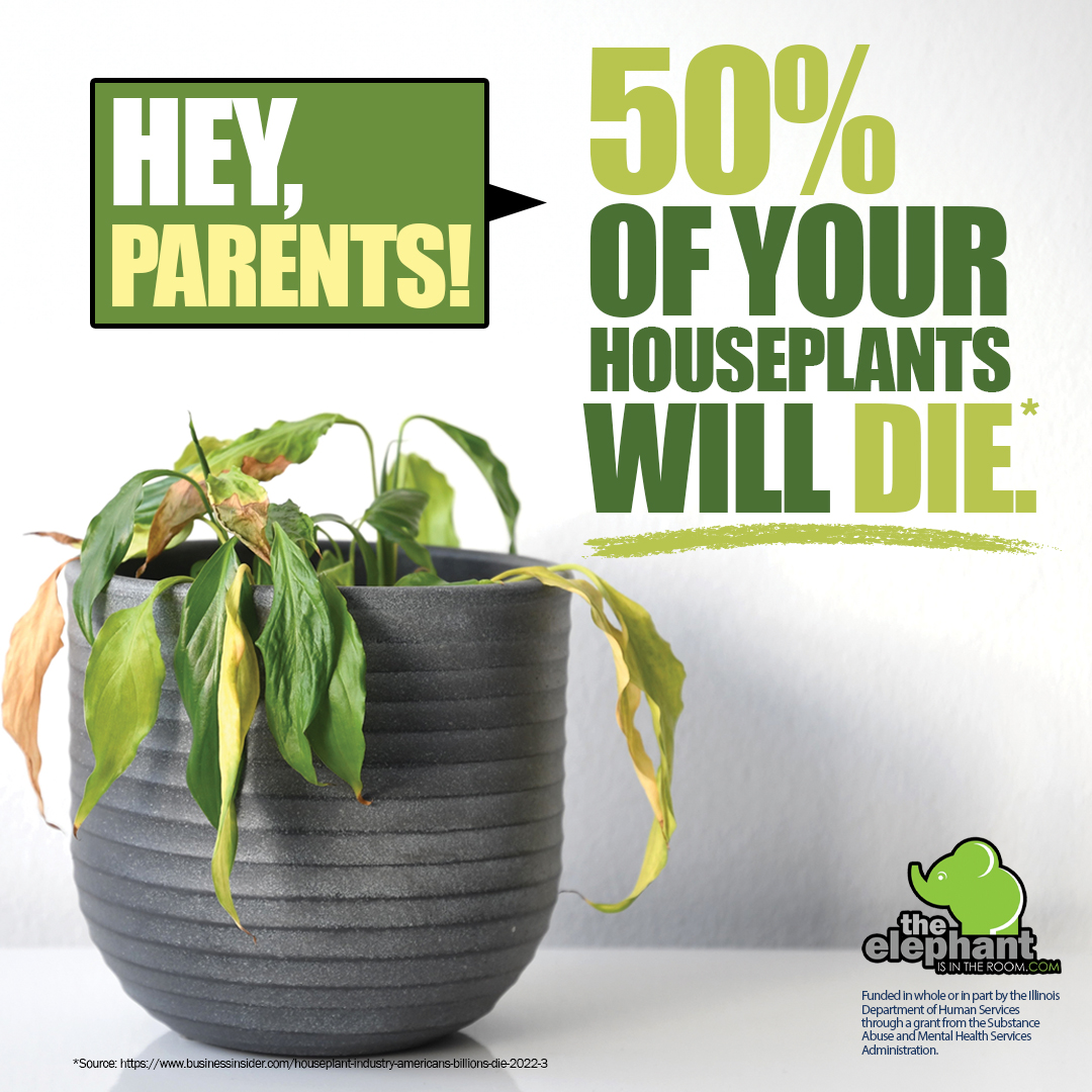 Elephant Social Post Parents Houseplants new FS